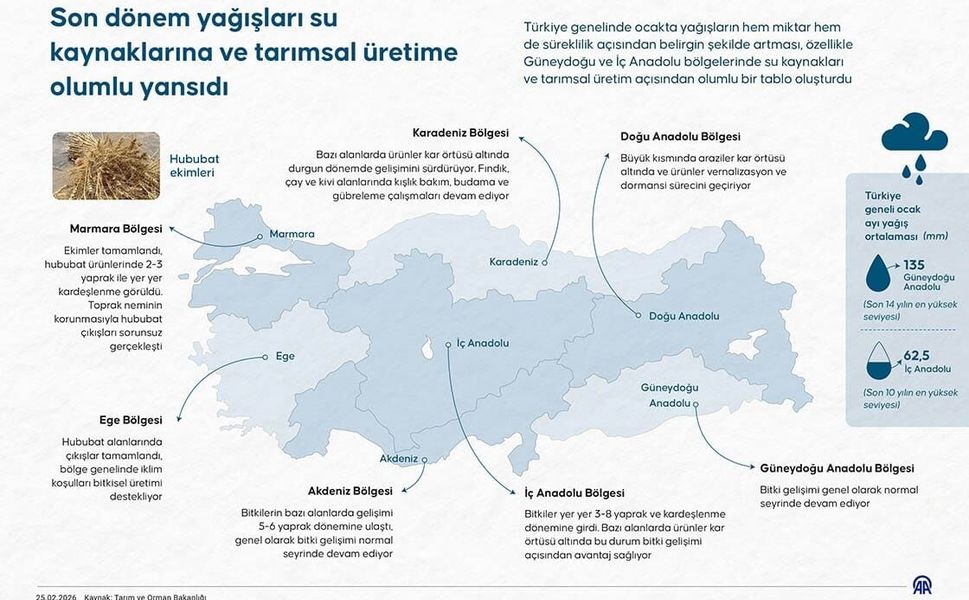 Ocak Yağışları Tarıma Can Suyu Oldu