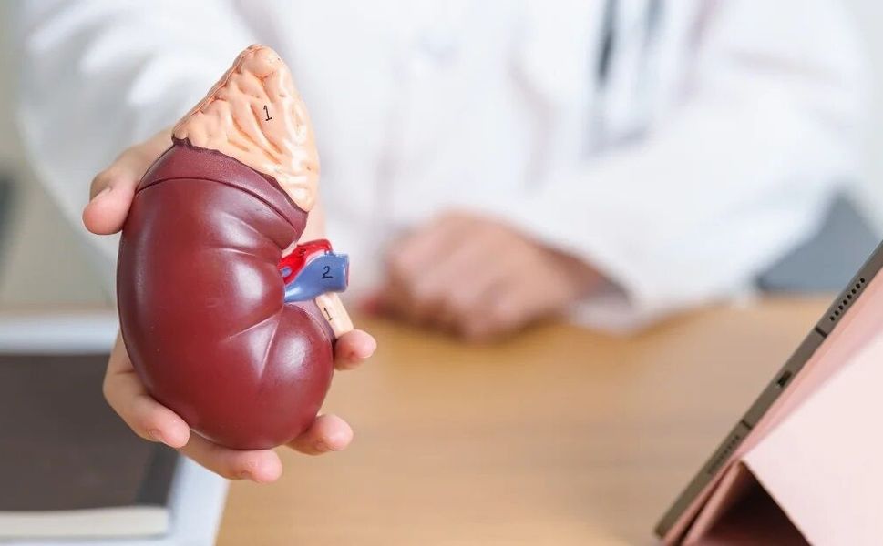 Dünya Böbrek Günü: 850 milyon kişiyi etkileyen hastalık