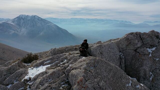 "Doğa Timleri" 5 İldeki Sayımlarda 5 Bin 525 Yaban Hayvanı Tespit Etti