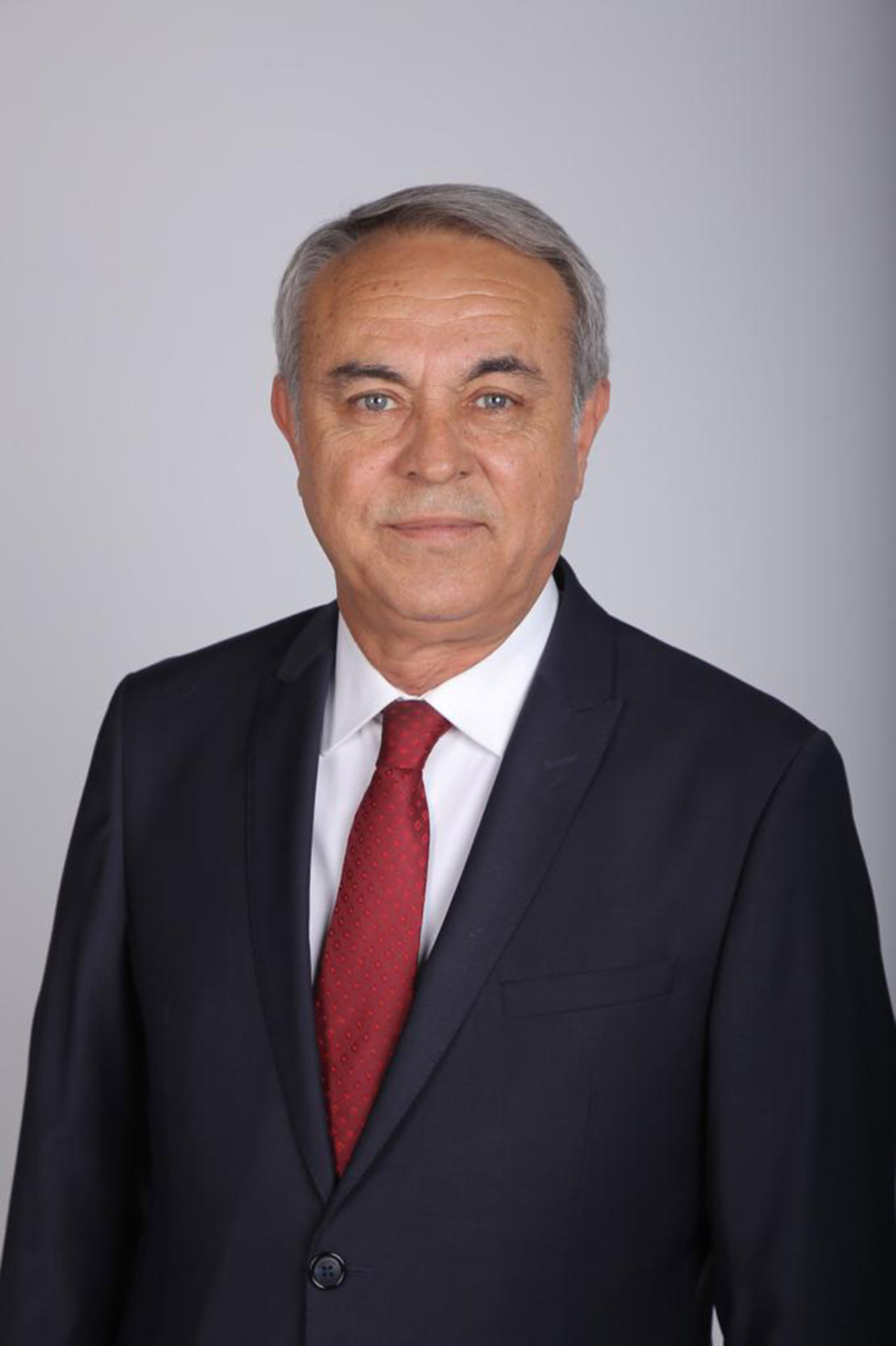 Mesut Dedeoğlu (2)