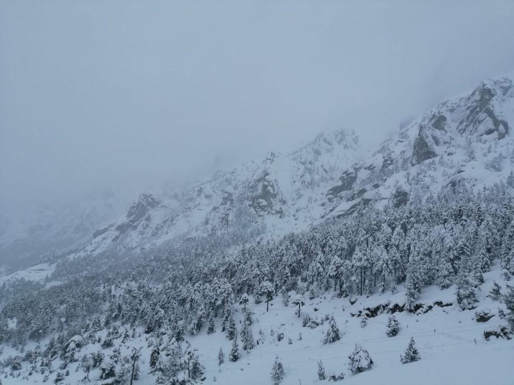 Kahramanmaraş'ta Kar Etkili Oldu (3)