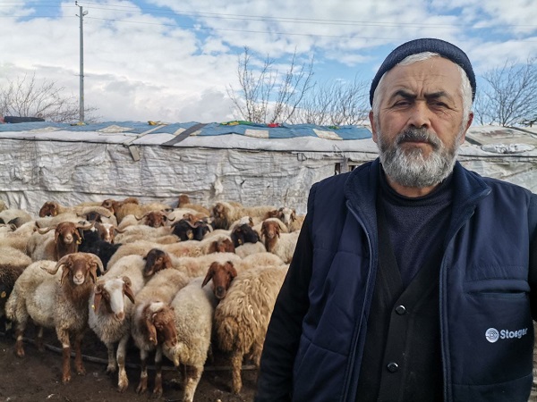 Kahramanmaraş’ta 30 Bin Lira Ücretle Çoban Arıyor (4)