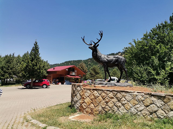 Eşsiz Doğa Güzelliği Başkonuş Yaylasında Eko Turizm Başladı (1)