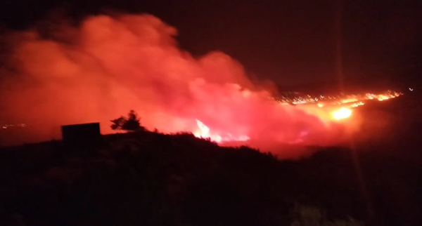 Kuru Ot Yangını Paniğe Neden Oldu (3)