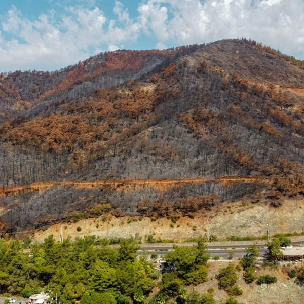 Rastgele Izmarit Atan, Anız Yakan Geleceğini Yakar (6)