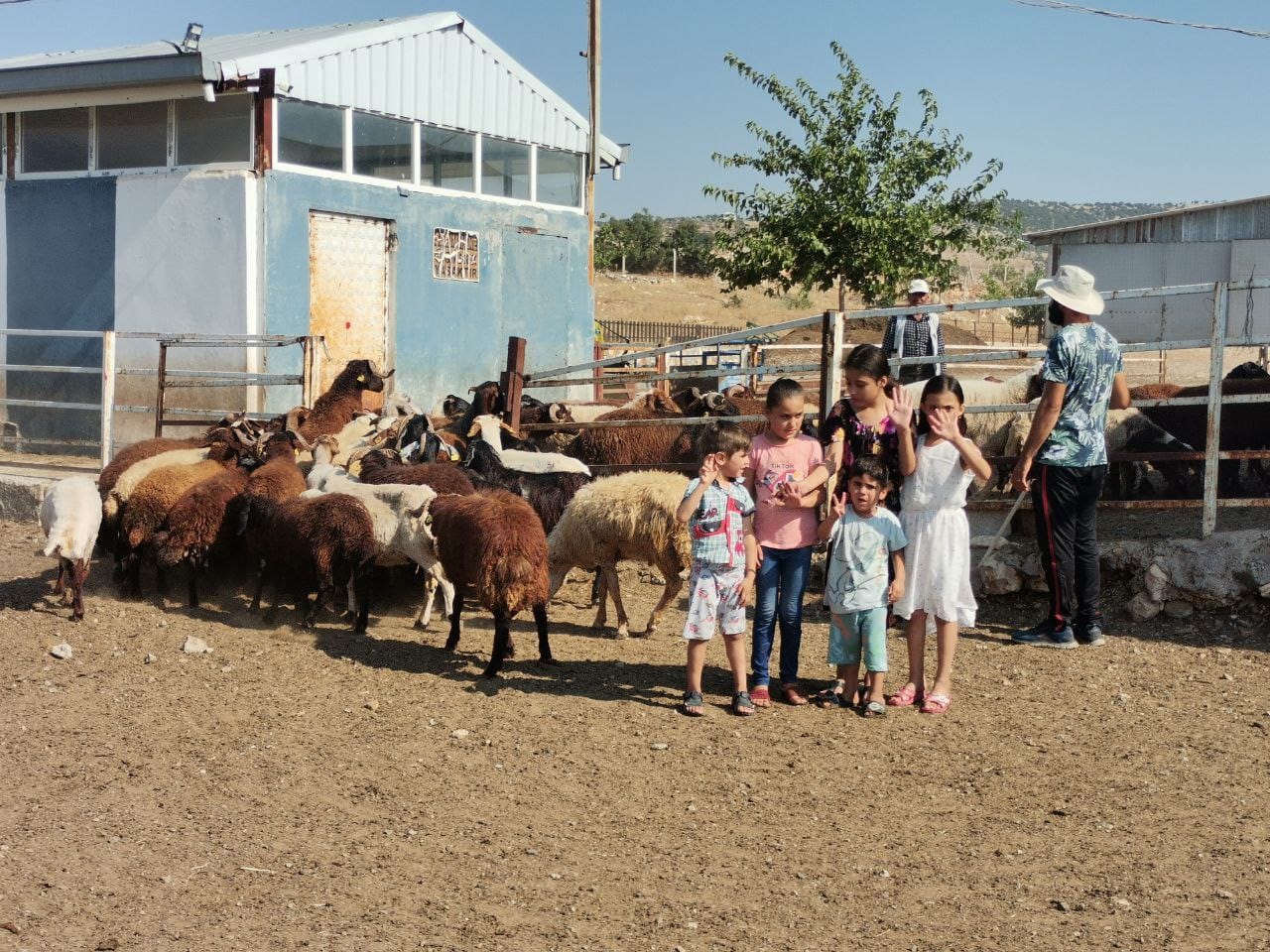 Pazarcık’ta Bölgenin En Büyük Hayvan Çiftliğini Kurdu (1)