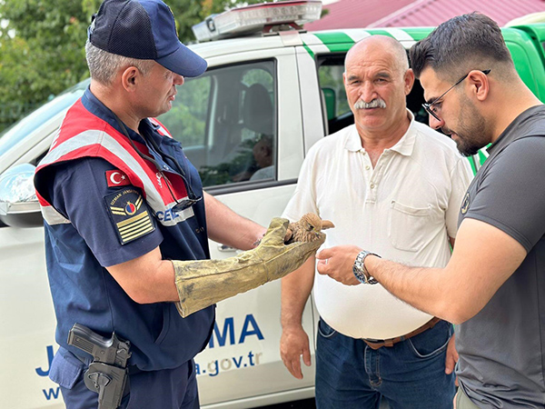 Yaralı Kerkenez Kuşuna Jandarma Şefkati (3)