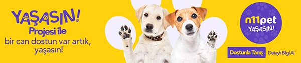 N11Pet Banner 1188X250-1