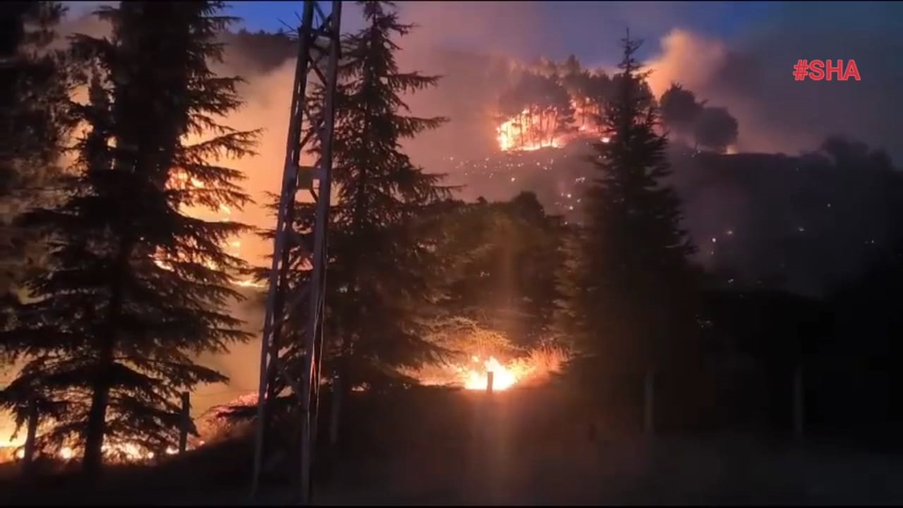 Kahramanmaraş'ta Orman Yangını (2)