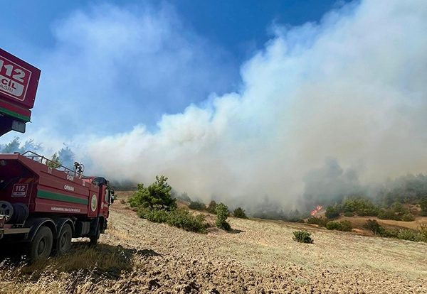 Kahramanmaraş'ta Orman Yangını (4)