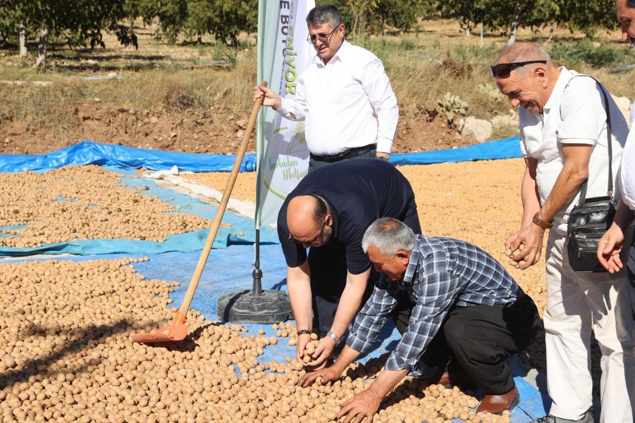 Coğrafi Tescilli Ceviz Ihracatı Başladı (2)