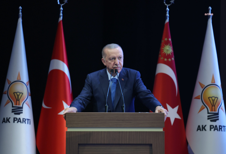 Cumhurbaskani Erdogan 728X495 1