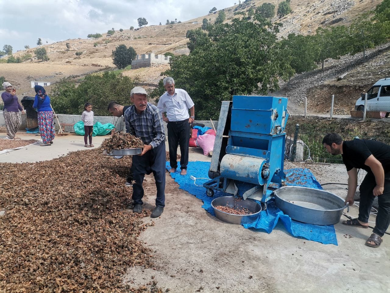 Fındık Köylülerin Gelir Kapısı Oldu (4)