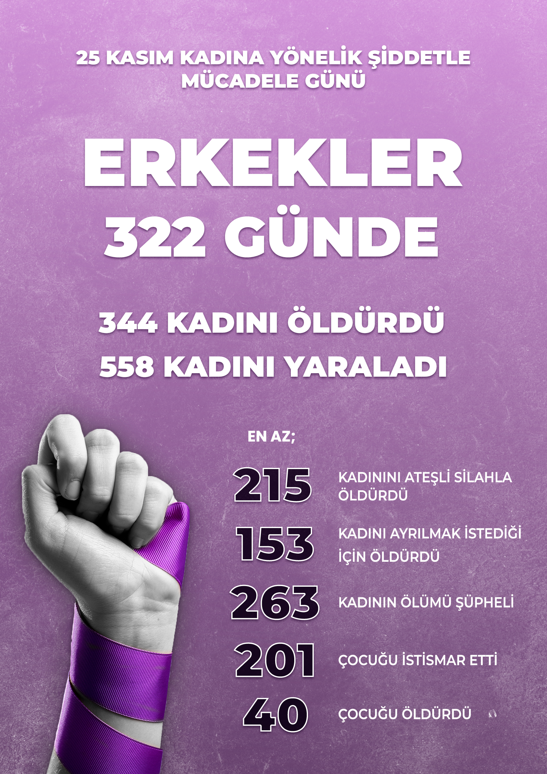 25Kasım Kadına Yonelik Siddet