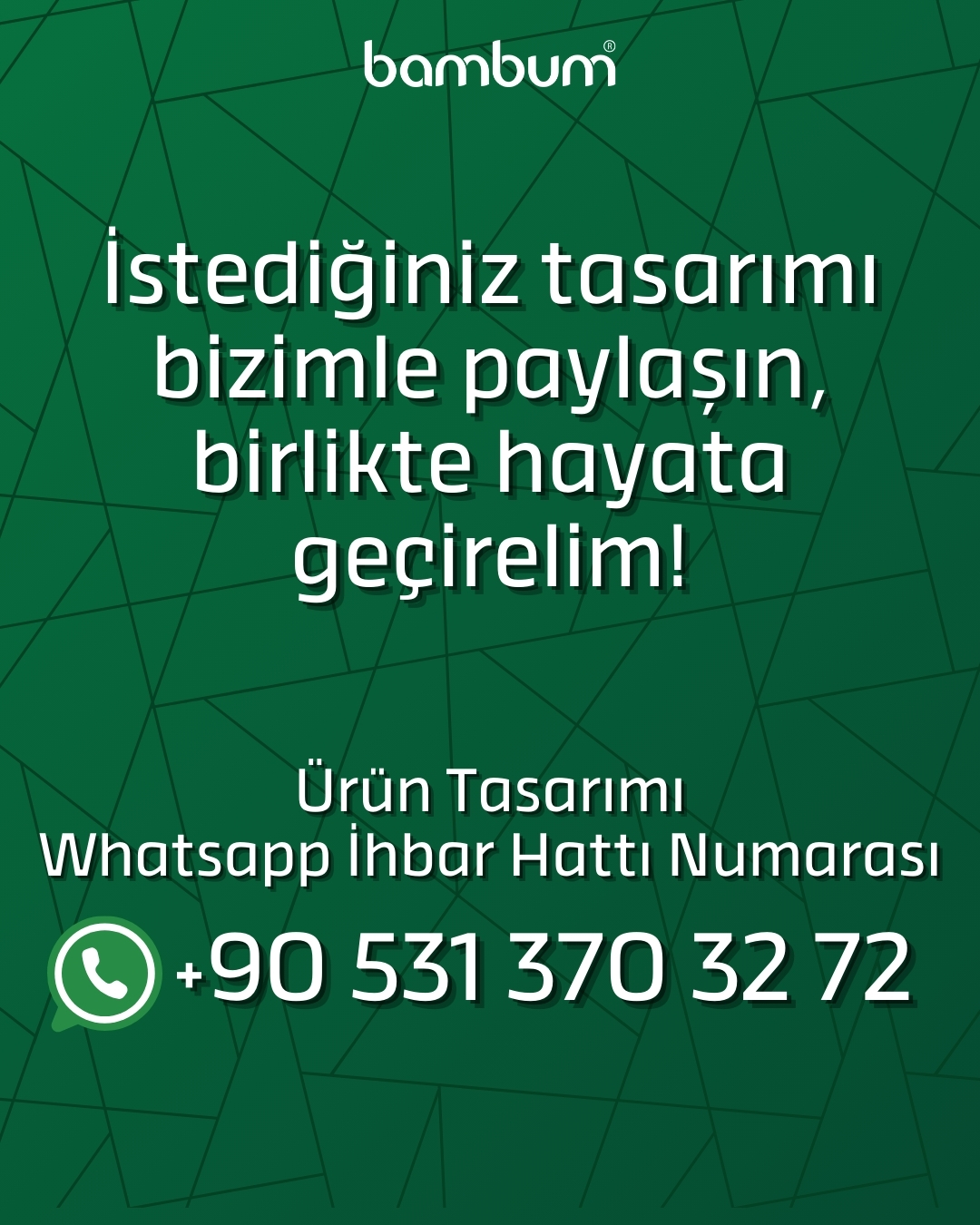 3 095355578