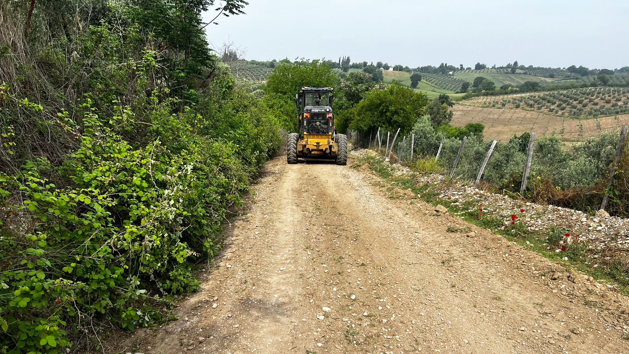 Andırın (5)-14