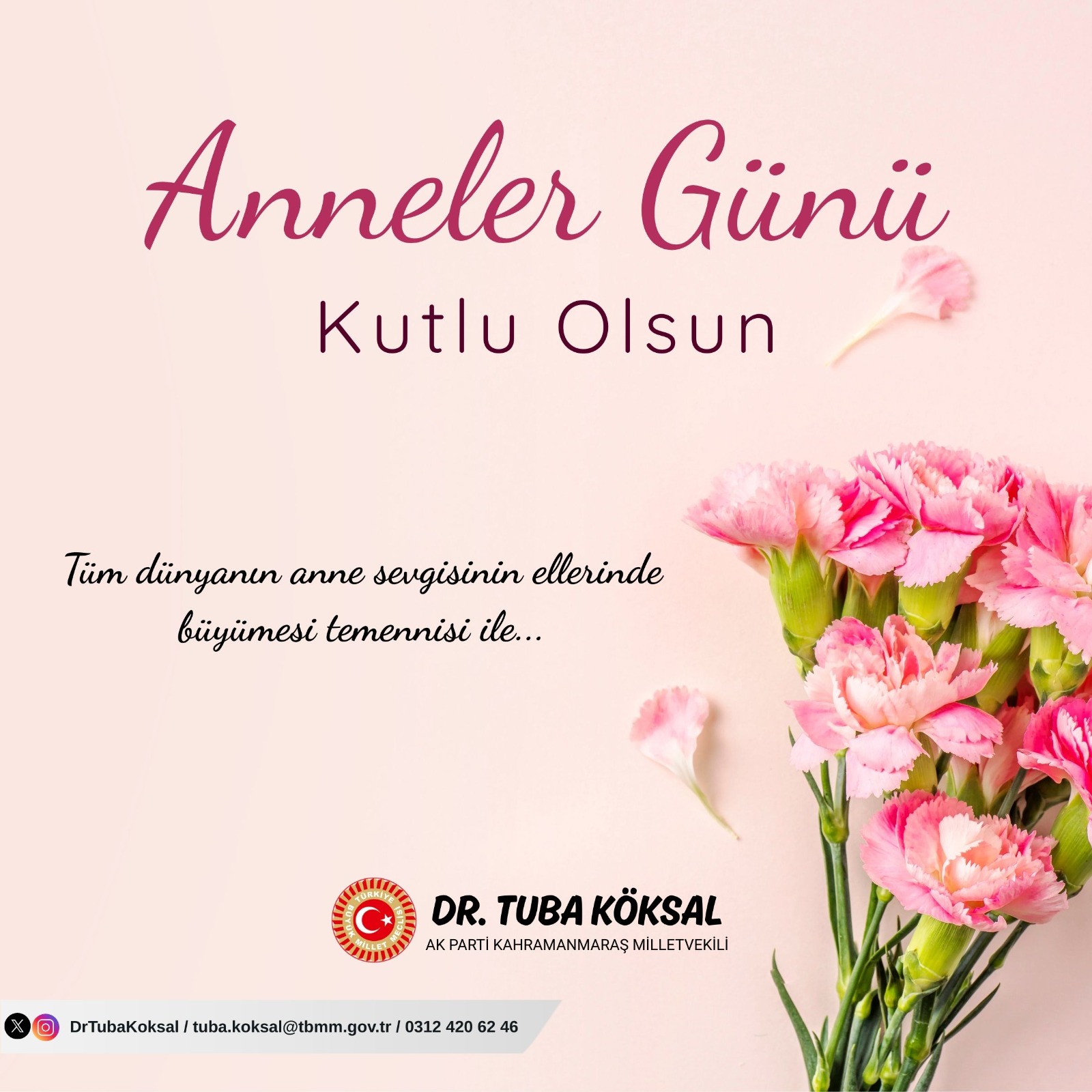 Dr.tuba Köksal Annenler Günü Mesajı
