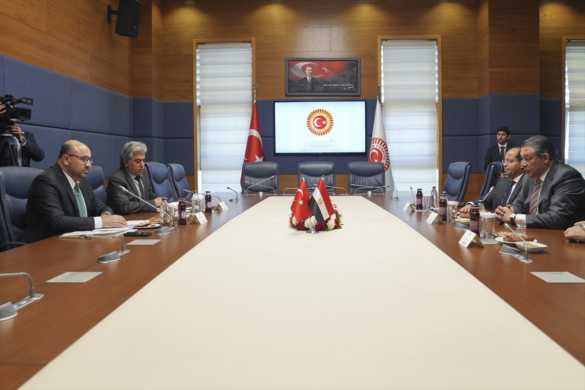 Mehmet Şahin1