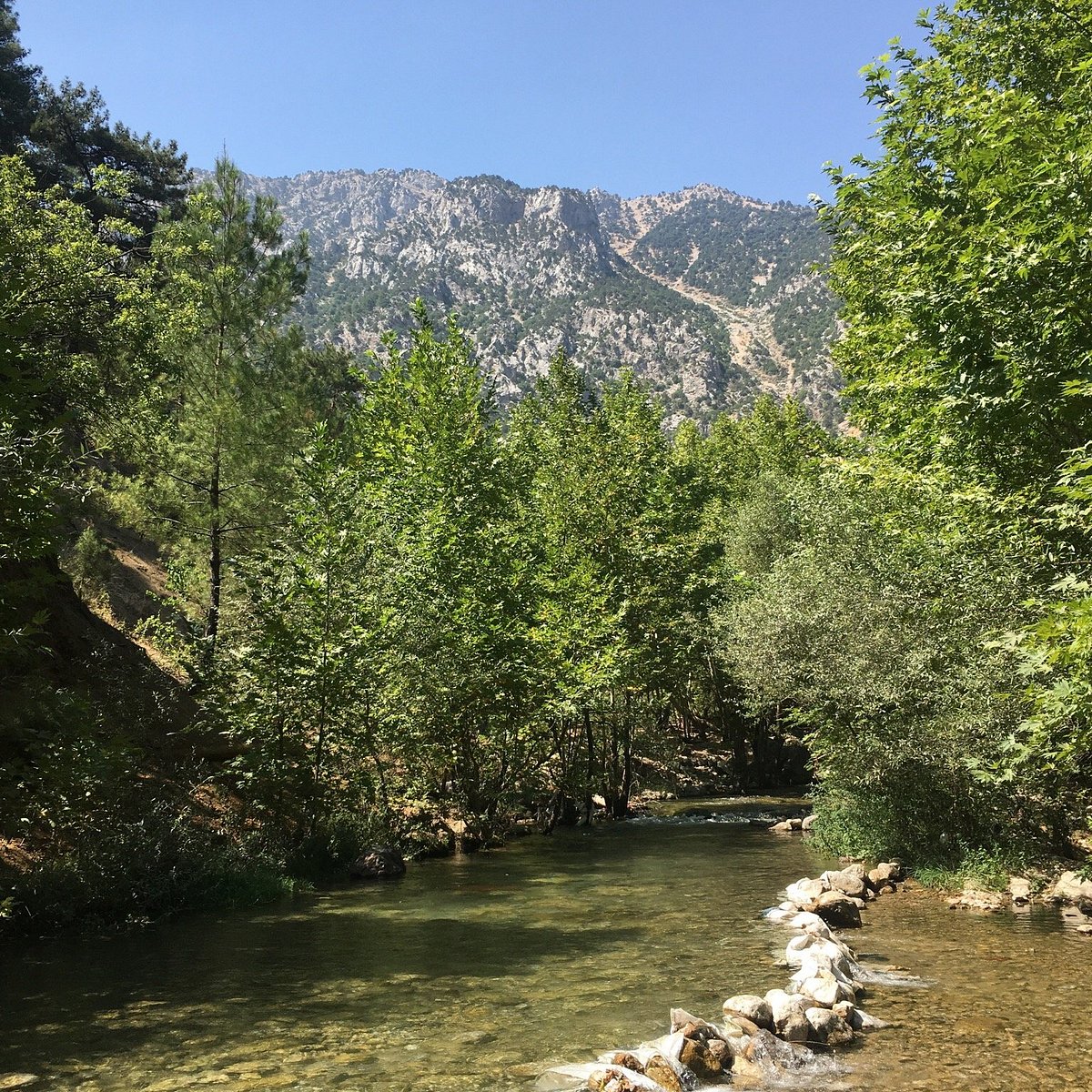 Photo4Jpg