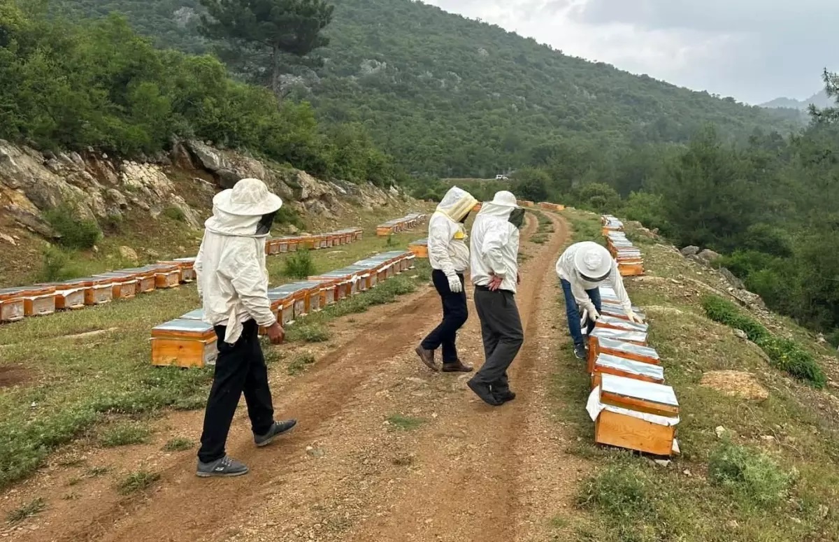Adiyamanli Aricilar 2025 Yili Bal Fiyatlarini 18860663 Amp