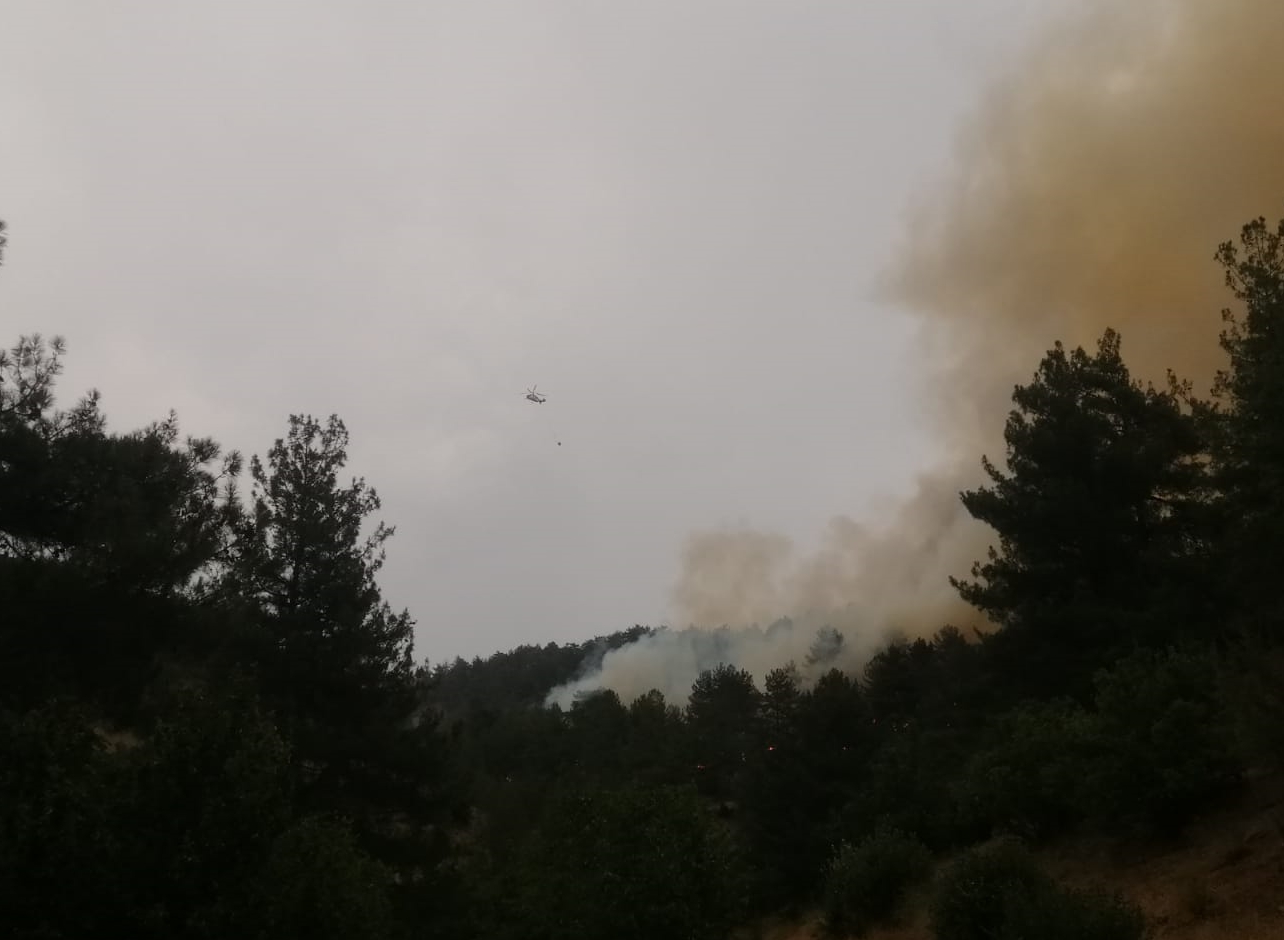 Kahramanmaraş'ın Onikişubat Ilçesinde Orman Yangını Çıktı