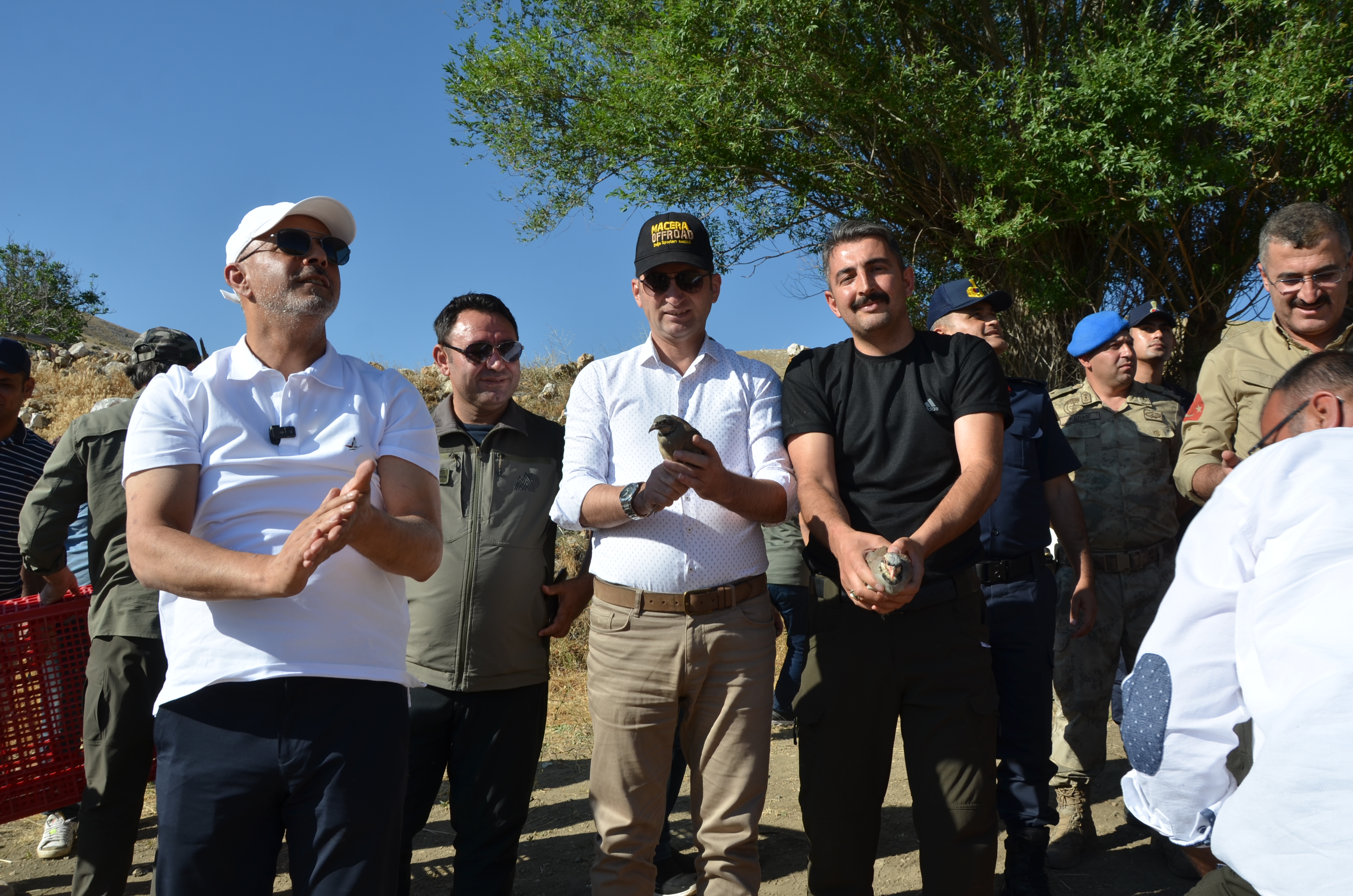 Kekli̇k (1)