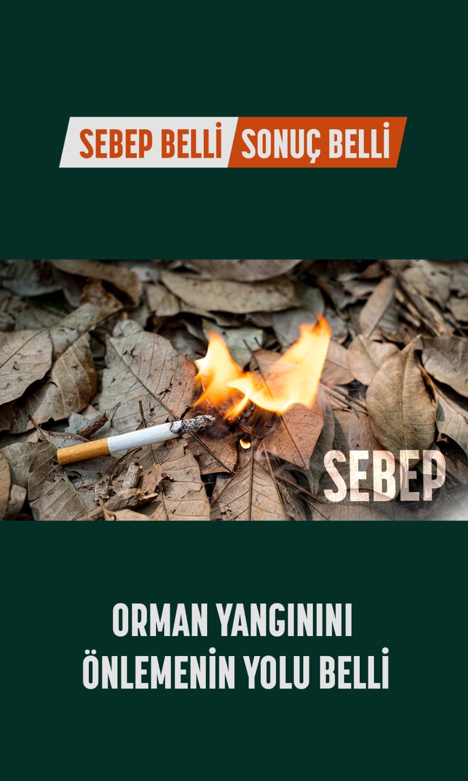 Orman Koruma Afiş (2)