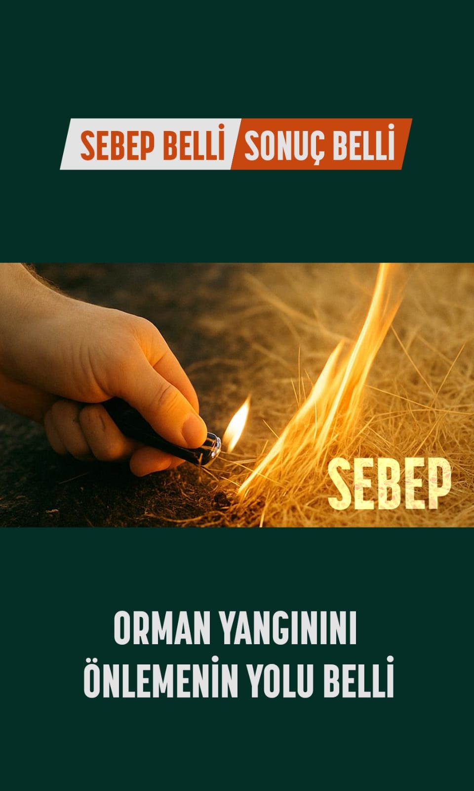 Orman Koruma Afiş (4)
