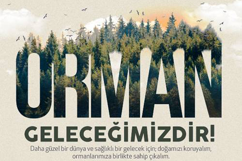 Ormanlarımızı Korumak Hepimizin Elimizde!