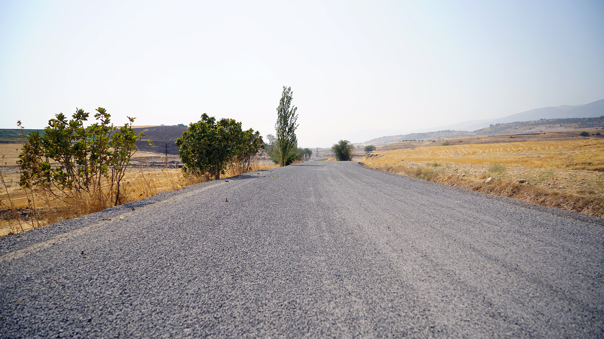 Elmalar Yolu (2)