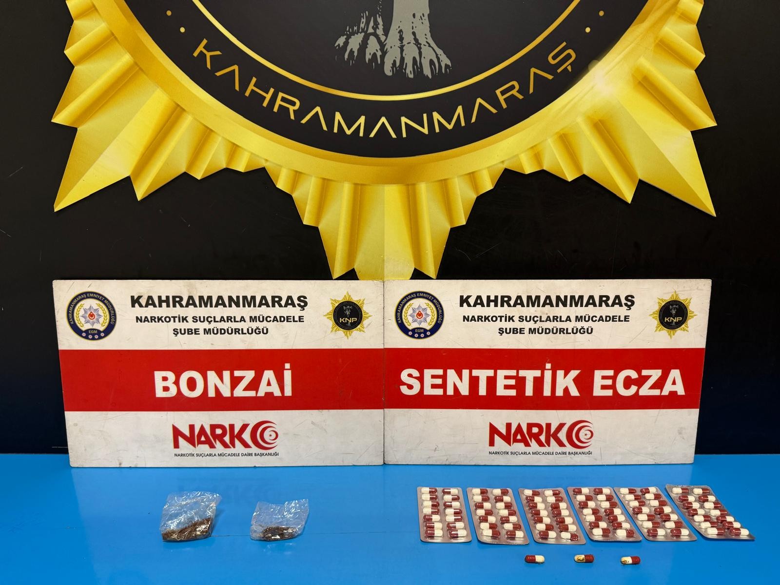 Fotoğraf (8)-4