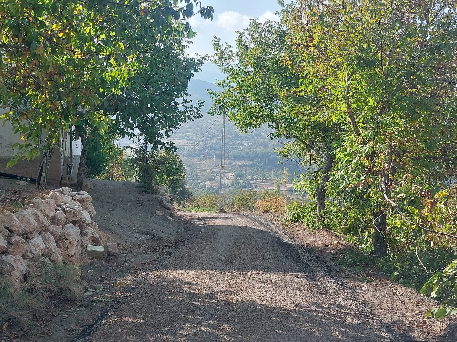 I M G 20251030 W A0015