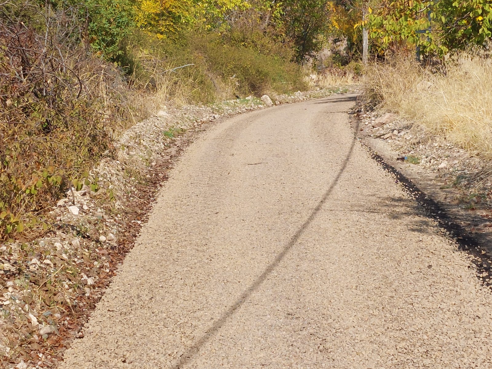 I M G 20251030 W A0016