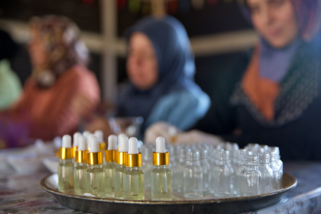 Osmaniye'de Yeniden Ekonomiye Kazandırılan Lavanta Bahçesi Kadınlara Gelir Kapısı Oldu (4)