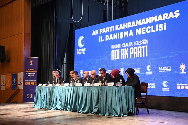 İl Danışma Meclisi (5)