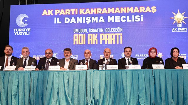 İl Danışma Meclisi (8)