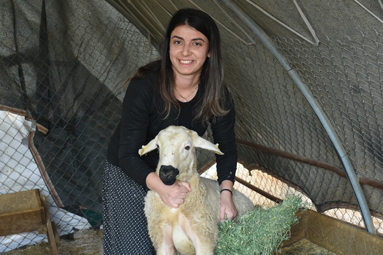 K A S I M 14 20251114 2 71642086 119173597