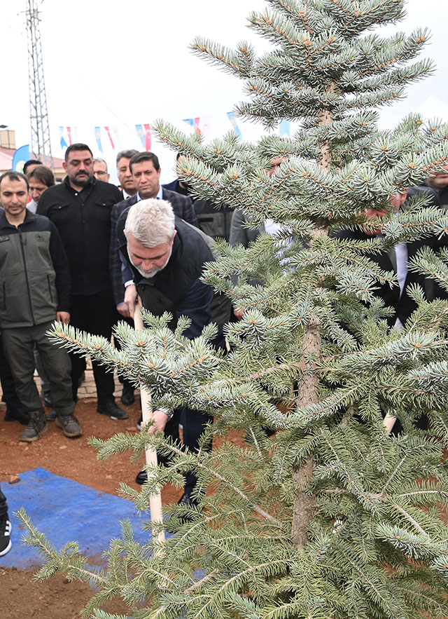 Milli Ağaçlandırma Günü (3)-1