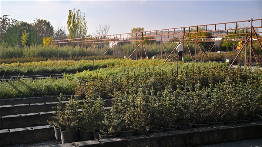 Milli Ağaçlandırma Günü Için Hedef 15 Milyon Fidanın Sahiplenilmesi