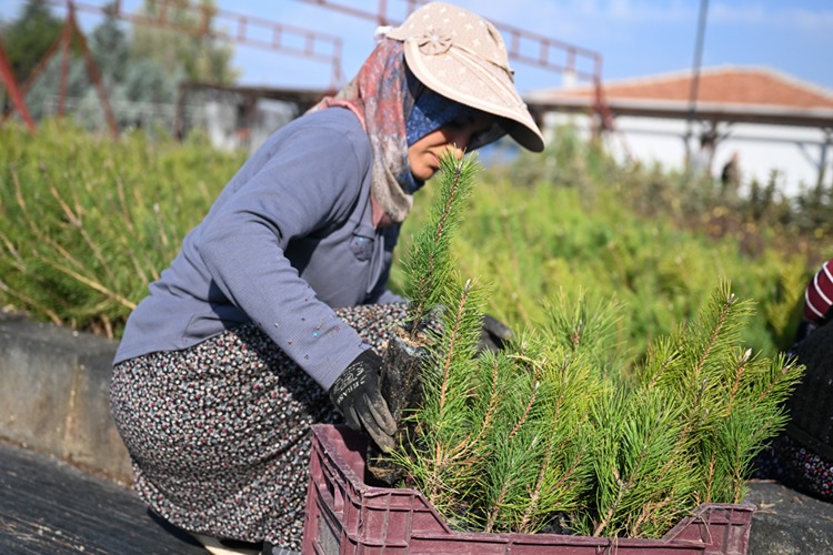 Milli Ağaçlandırma Günü Için Hedef 15 Milyon Fidanın Sahiplenilmesi1