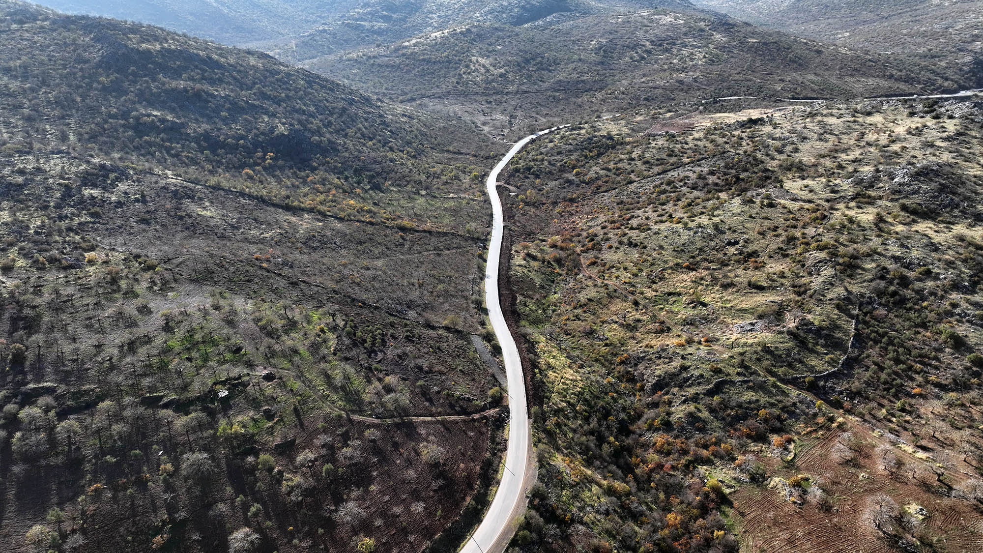 Türkoğlu Uzunsöğüt (5)