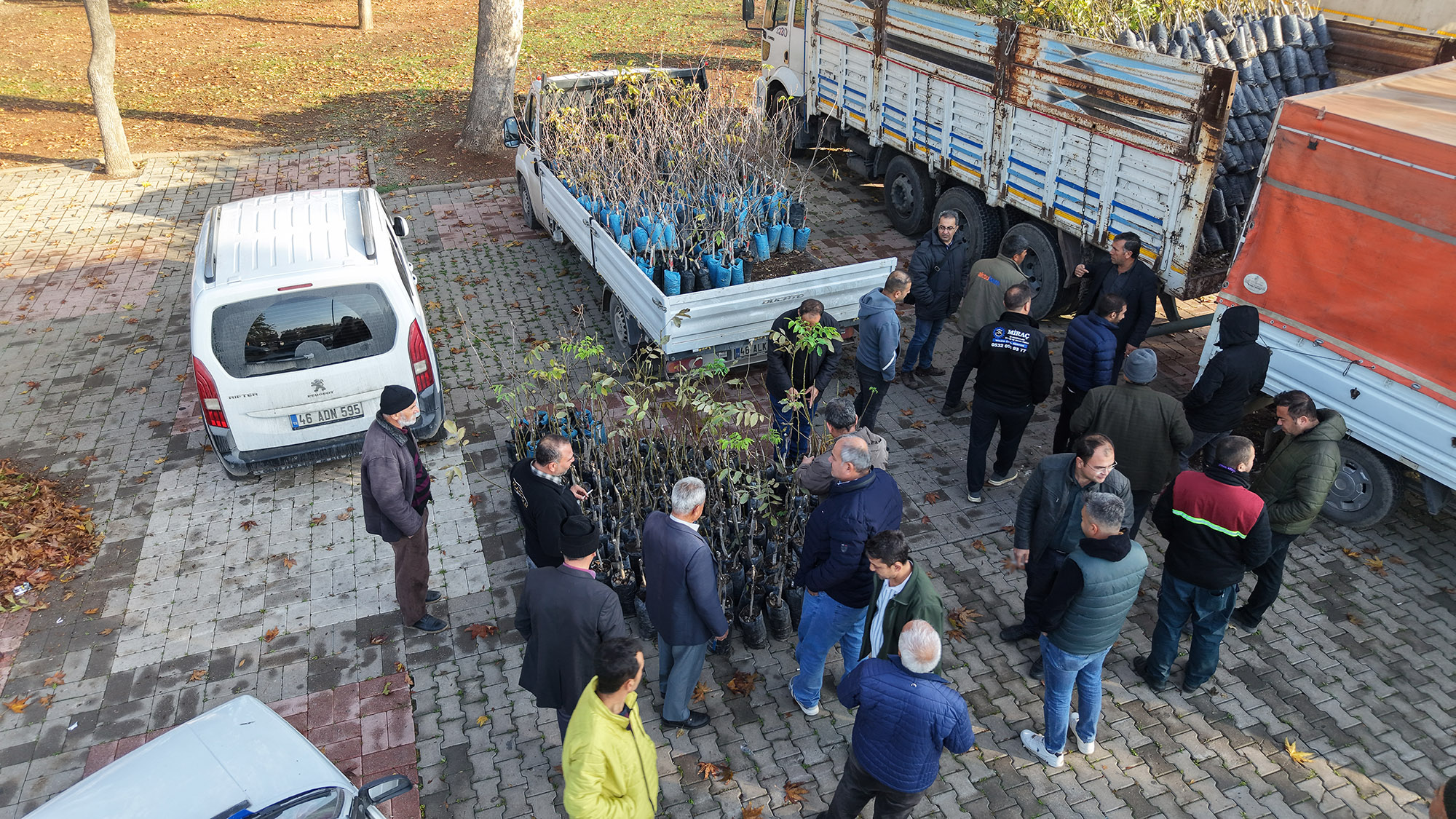 Fidan Dağıtımı (5)