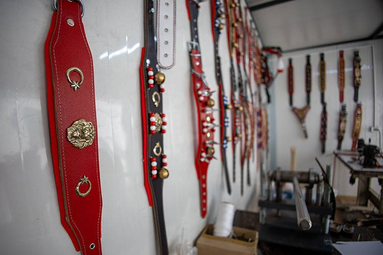 Onteynerde Ürettiği Köpek Tasmalarını 20'Den Fazla Ülkeye Ihraç Ediyor (1)