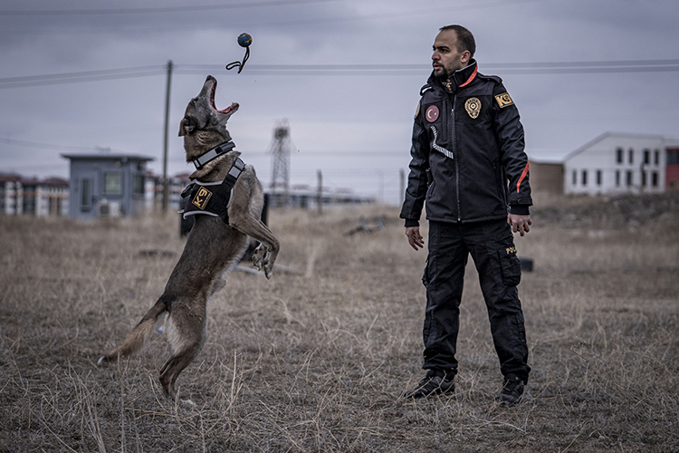 Türkiye'nin Sayılı Kadavra Köpeklerinden Melo Depremden Cinayete Ekiplerin Iz Sürücüsü (3)