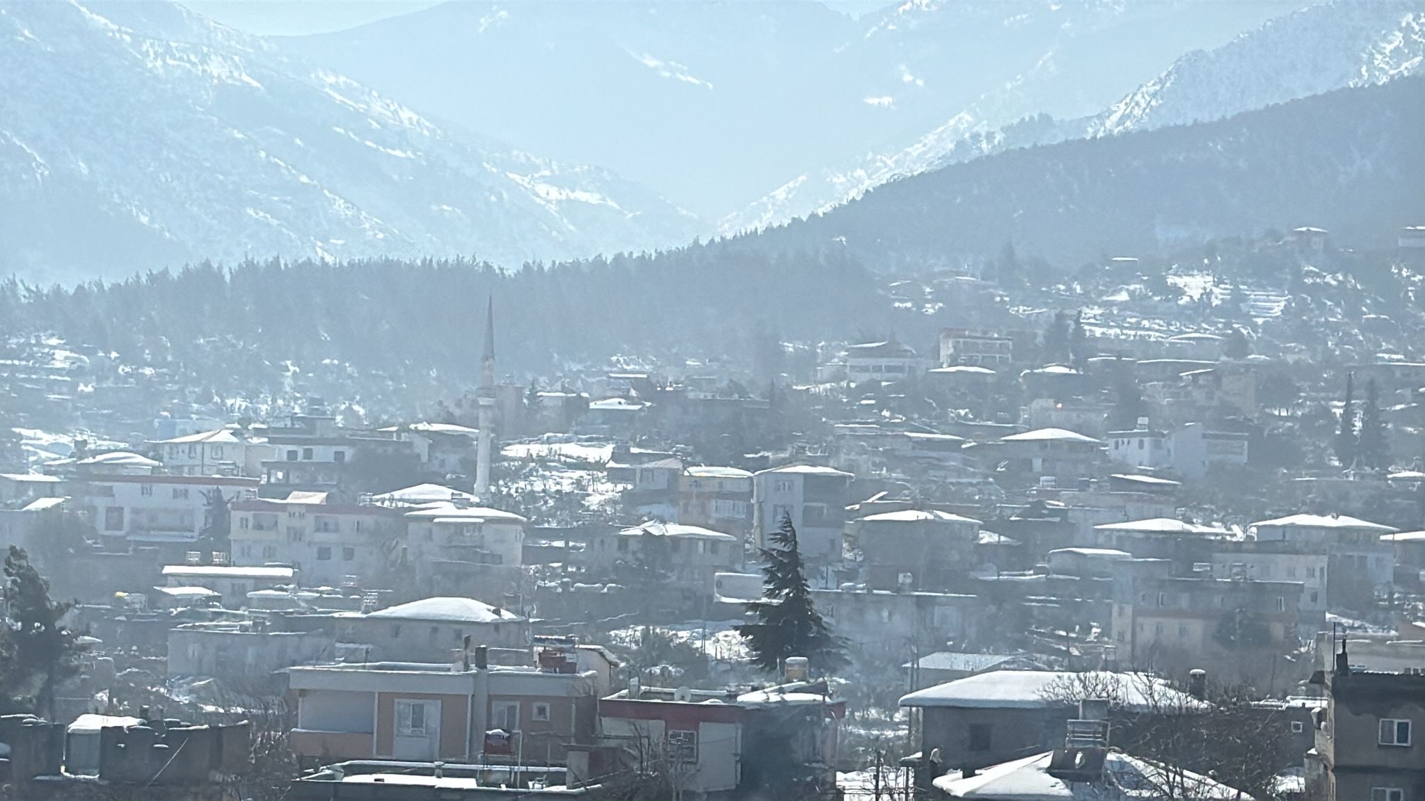 2C5Bf429 309C 4D53 918D 3D297836B04F