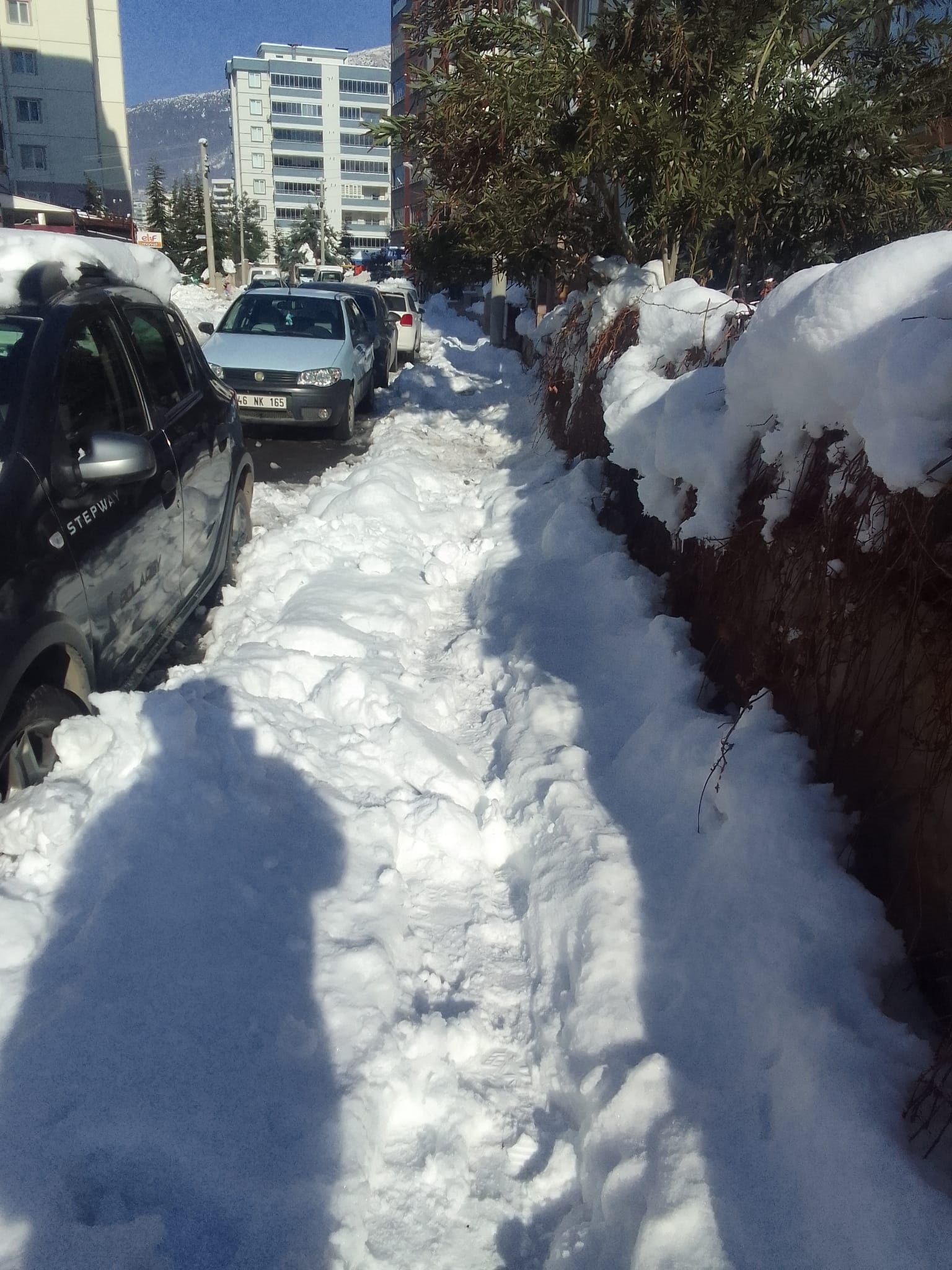 B847098F 36E0 4Ac6 B1F3 Eed2F37Fbc29