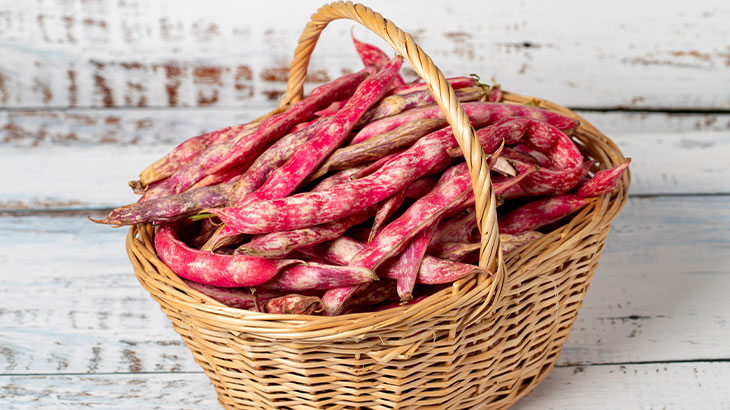 Barbunya Faydaları Nelerdir1