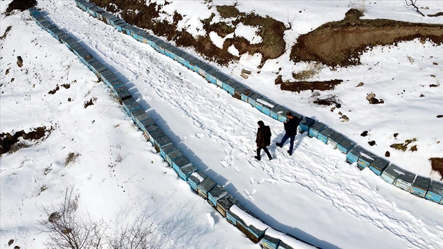 Depremden Etkilenen Elazığ'da Arıcı Ve Besiciler Yaralarını Devlet Desteğiyle Sardı (2)