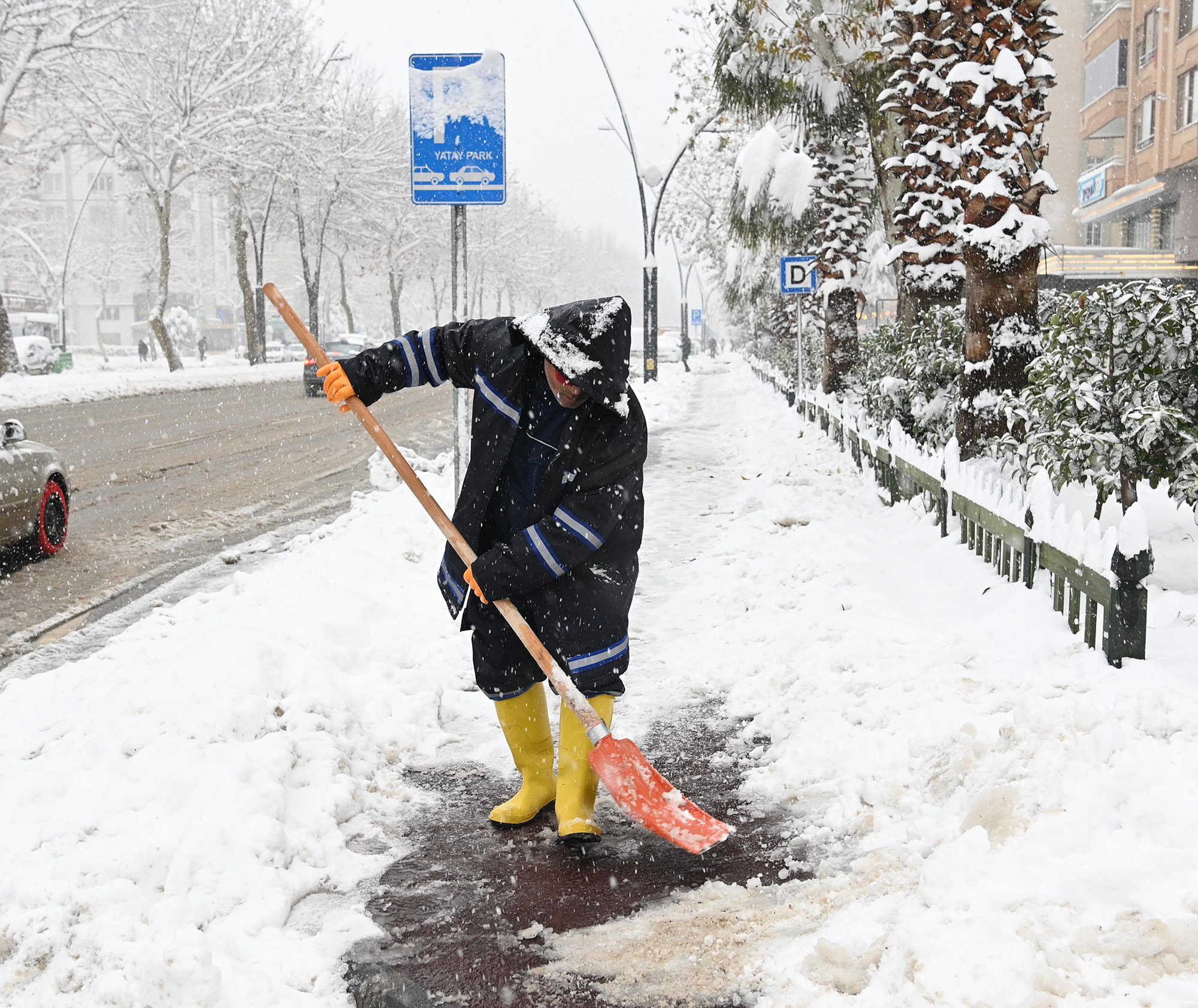 Saha Ziyaretleri (3)