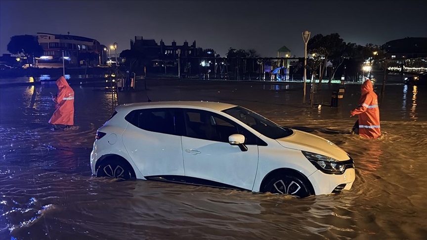 Thumbs B C A2D81A9Ef8784B149B8C539746Fba3Da